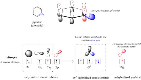 20.2: Basicity of Amines and Ammonium Salt Formation - Chemistry LibreTexts