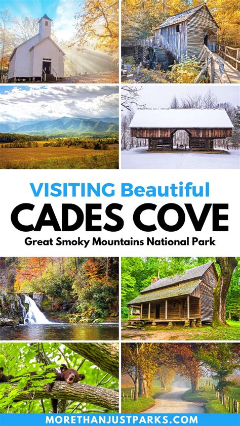 CADES COVE | Great Smoky Mountains National Park (Guide + Map)