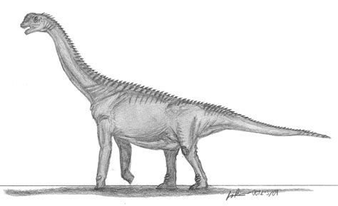 PALEONTOLOGICAL STUDIES OF SOUTH CAROLINA | Weekly Featured Dinosaur ...