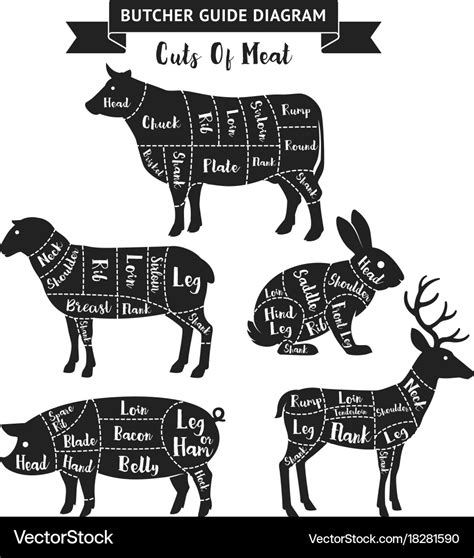 Butcher guide cuts of meat diagram Royalty Free Vector Image