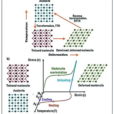 Schemes: (a) transformation of austenite by twinning into martensite in... | Download Scientific ...