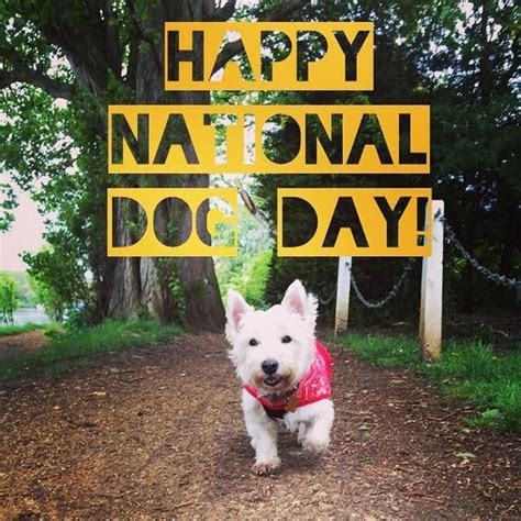 Happy National Dog Day! | Happy national dog day, Scottie terrier, Cute ...