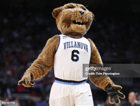 Villanova Mascot Will D Cat Photos and Premium High Res Pictures ...