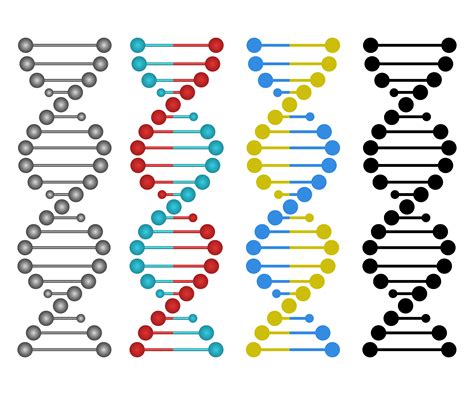 Human dna design 1270772 Vector Art at Vecteezy