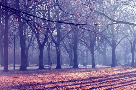 1080P free download | Autumn Park, Branch, Trees, Autumn, City, HD ...