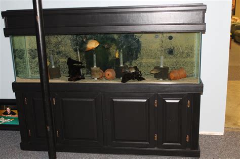 Diy 125 Gallon Aquarium Stand - custom aquarium furniture - luxury ...