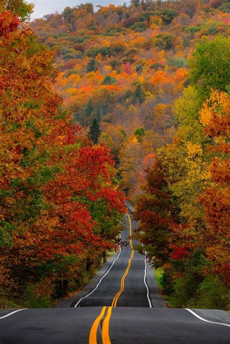 Autumn Road in the Catskills Print - Uncovering PA