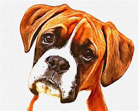 Boxer with that boxer expression 8x10 | Boxer dogs art, Boxer dogs, Dog paintings