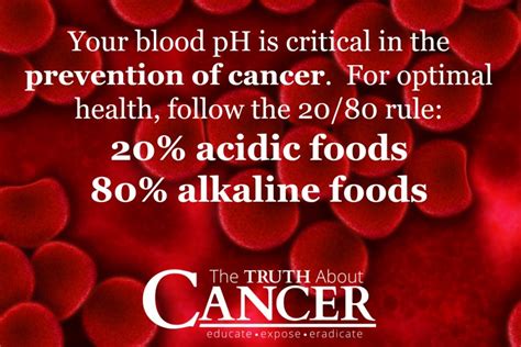 Understanding Blood pH And It's Critical Role In The Prevention Of Cancer