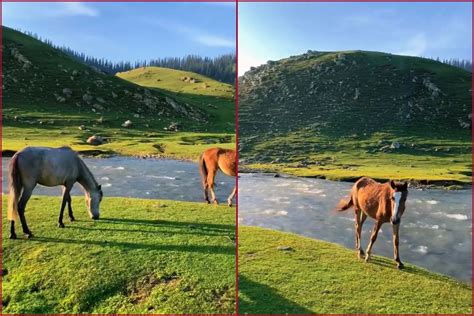 Watch Video: Serenity of Kashmir’s Bangus Valley is making netizens amazed