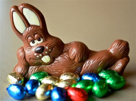 Gagnez un lapin de Pâques géant en chocolat de 26 livres | Easter bunny images, Bunny images ...