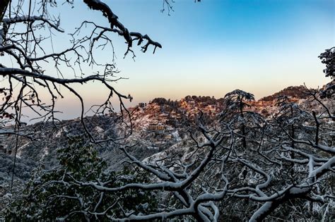 Snowfall in winter night ; Landour, Mussoorie - Dr. Chandrima Debi's Blog