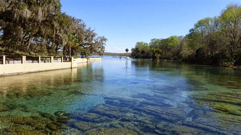 Andrew and Nikki go overseas: Ocala National Forest, Florida