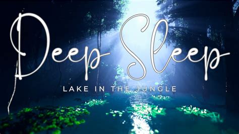 Relaxing jungle at night sounds-water-crickets-frogs--Rainforest ...