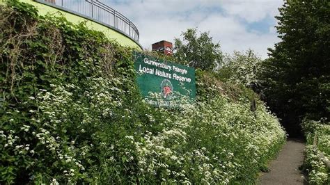 Gunnersbury Triangle Nature Reserve - Nature Reserve & Woodland ...