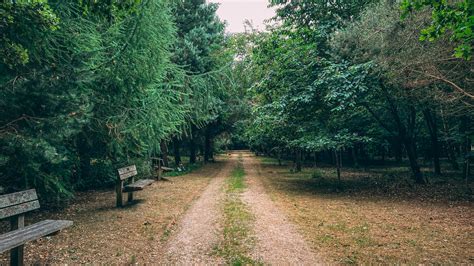 Woodland or natural burial - Hinton Park Woodland Burial Ground