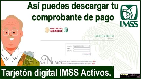 Tarjetón IMSS: lo que tienes que saber sí o sí