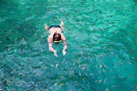 10 Best Snorkeling Spots in Phi Phi - Where to Snorkel Around Koh Phi ...