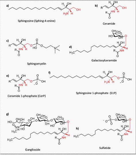 Molecular structures of several sphingolipids. a) Sphingosine ...