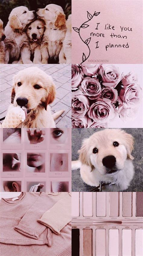 Dog Aesthetic Wallpapers - Wallpaper Cave