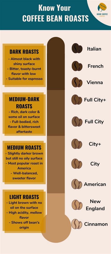 Ultimate Guide to Coffee Bean Roasts: Which One Is Best?