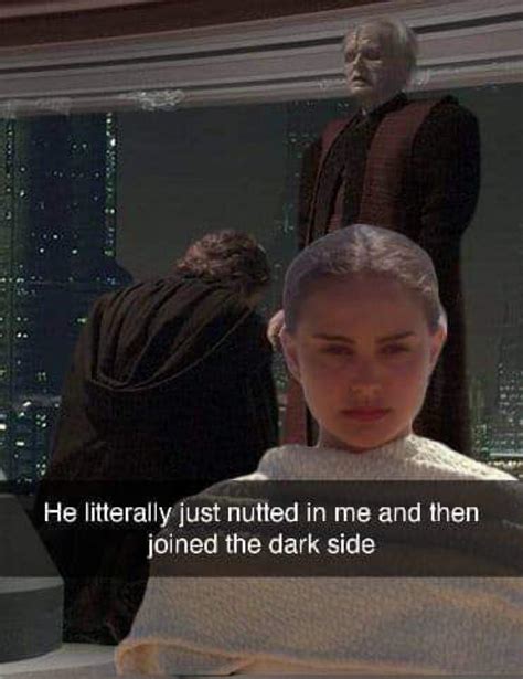 Padmé is not impressed | /r/PrequelMemes | He Literally Just Nutted in Me | Know Your Meme