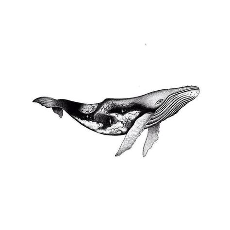 Whale tattoo design by @ink.feb24 | #blackworknow if you would like to be featured Submissions ...