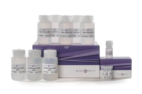 Cell-Free DNA Extraction Kit | Rapidly Isolate cfDNA