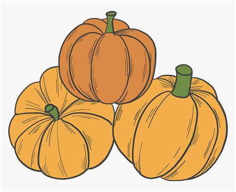 Pumpkins Clipart - Pumpkin, HD Png Download - kindpng