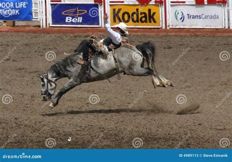 Cowboy on bucking bronco editorial stock photo. Image of cowboy - 4989113