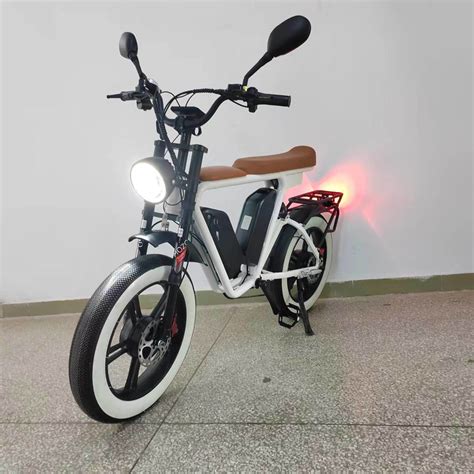 Dual Motor 2000W Double Battery 44ah/52V Electric Bike Ebike - E Bike ...