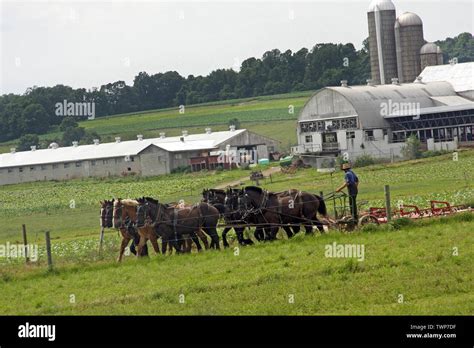 Amish farmers farm people hi-res stock photography and images - Alamy