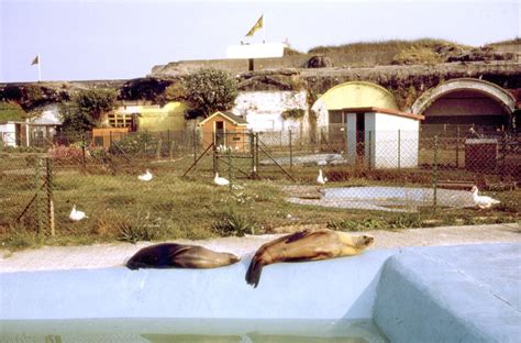 Sandown Zoo, 1973 © Harold Dilworth Crewdson :: Geograph Britain and Ireland