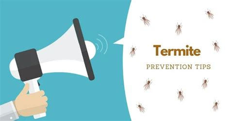 Termites and Travel: Pest Movement Explained | Rentokil SG