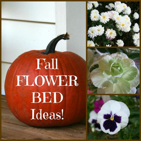 Quick and Easy Fall Flower Bed Ideas - Home Garden Joy