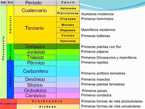 Eras geologicas