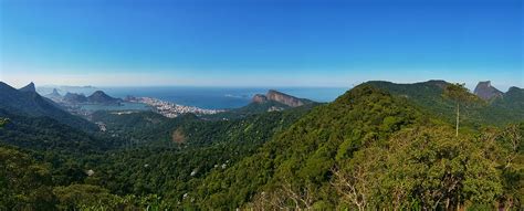 Running Tour Tijuca Forest | Rio de Janeiro