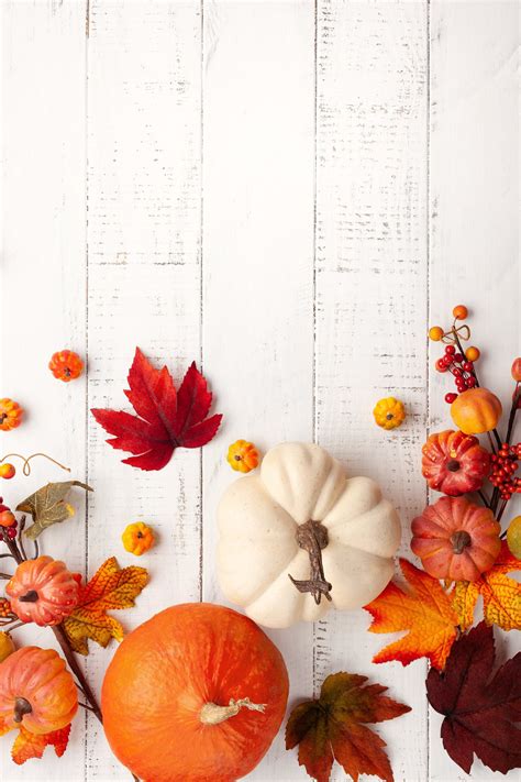 50 Fall iPhone Wallpapers That'll Instantly Make You Feel Cozy | Thanksgiving iphone wallpaper ...