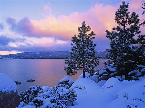 Colors of Winter Lake Tahoe picture, Colors of Winter Lake Tahoe photo ...