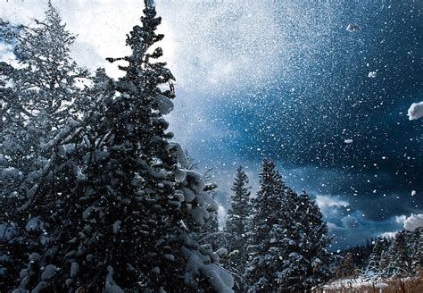 Snow Flurry Photograph by Renee Sullivan - Fine Art America