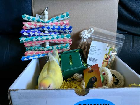 Squawk Box Review - September 2017 - Hello Subscription