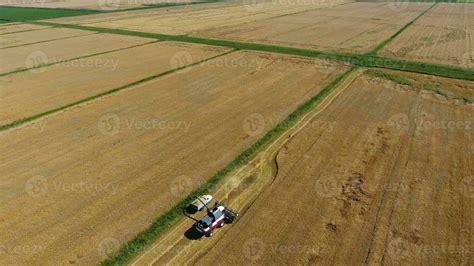 Harvesting barley harvesters. Fields of wheat and barley, the work of agricultural machinery ...