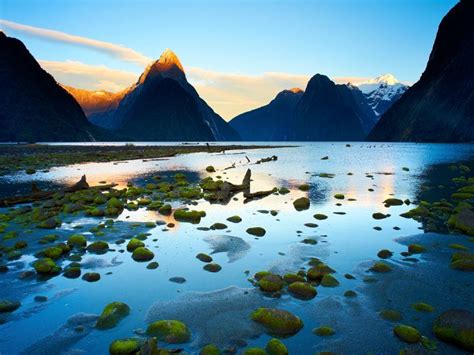 Top 10 national parks in New Zealand | New Zealand travel inspiration