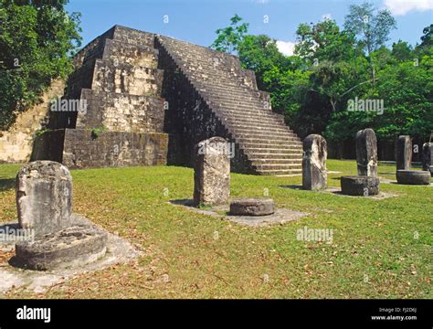 Ruinas Mayas y una escalera con estelas y altera a gobernantes mayas de Tikal - selva de Petén ...