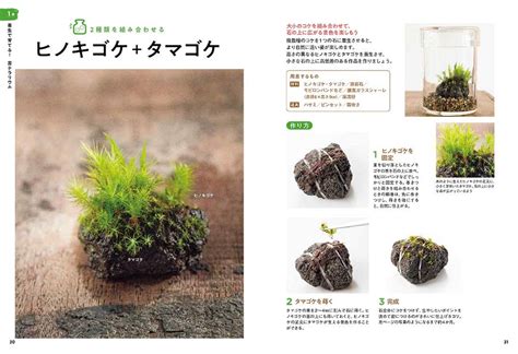 How to Make a Fascinating Moss Terrarium Japanese Craft Book | Etsy