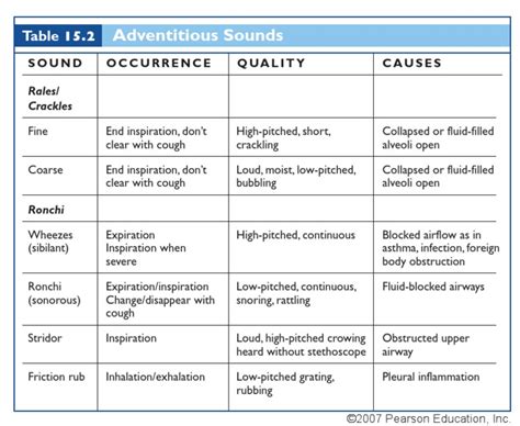 Adventitious Breath Sounds | Respiratory Tract | Exhalation | Free 30-day Trial | Scribd