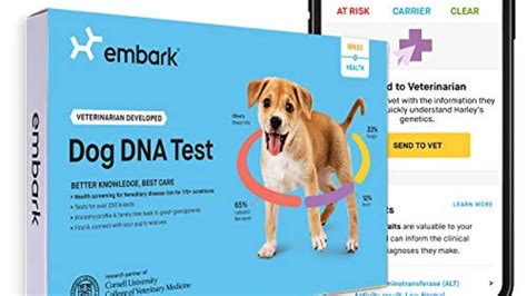 Embark | Dog DNA Test | Breed & Health Kit | Breed Identification ...