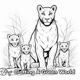 Panther Coloring Pages  Free & Printable sketch template