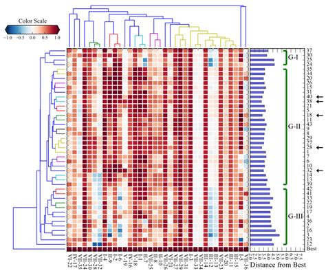 The Clustermap of both performance metrics and models for the metric ...