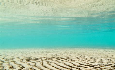 Underwater Sand Beach Photograph by Stephan Pietzko